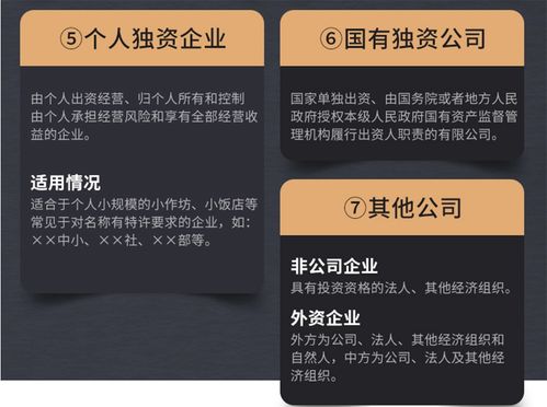 企业注销全流程解析 商务代理代办服务一站式解决方案