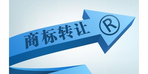 商务服务企业商情 商务代理与代办服务的市场机遇与发展策略